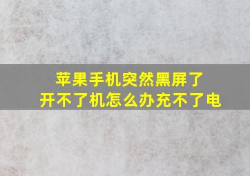 苹果手机突然黑屏了 开不了机怎么办充不了电